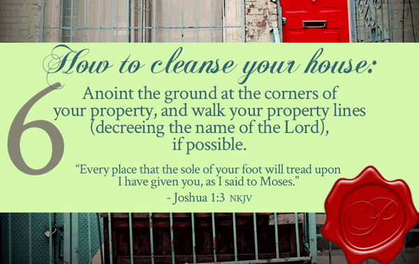 How To Cleanse Your House | by Jamie Rohrbaugh | FromHisPresence.com