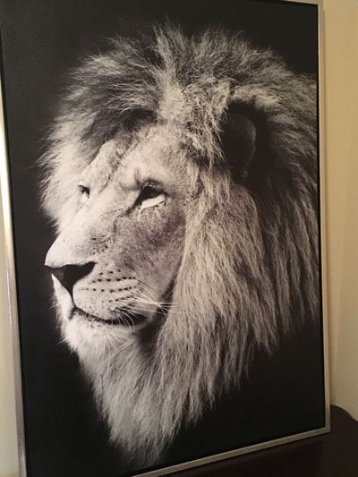 lion-artwork-400pxwide