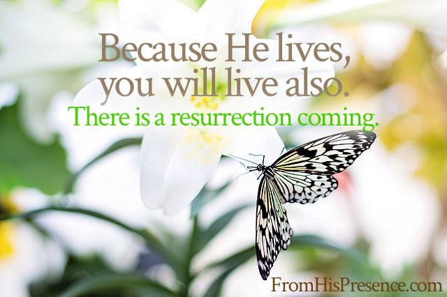 Prophetic Word: There Is a Resurrection Coming
