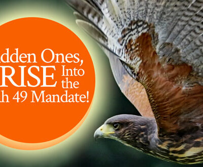 Hidden Ones, Arise Into the Isaiah 49 Mandate! Prophetic word by Jamie Rohrbaugh | FromHisPresence.com