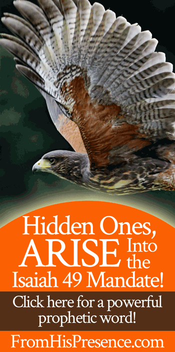 Hidden Ones, Arise Into the Isaiah 49 Mandate! | Prophetic word by Jamie Rohrbaugh | FromHisPresence.com