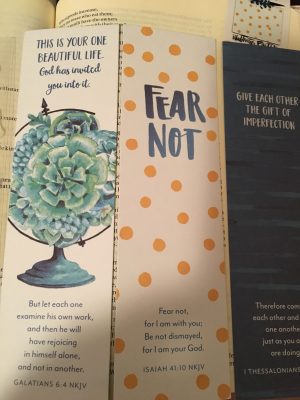 Dayspring Illustrated Faith Craving Connection kit review