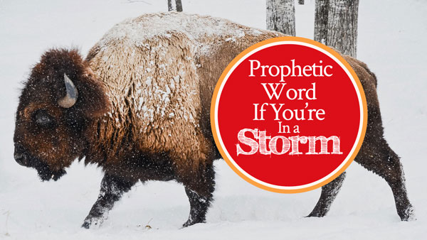 Prophetic Word If You’re In a Storm