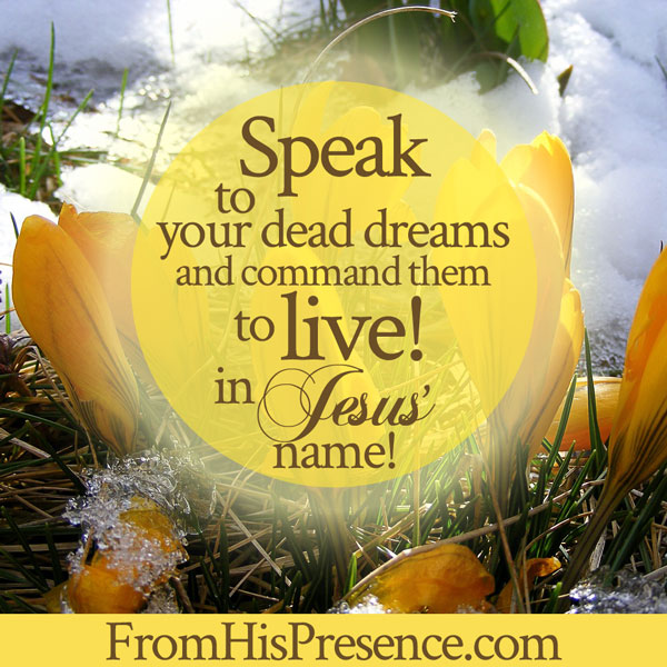 Prayer to raise the spiritually dead | Speak to your dead dreams | Prayer by Jamie Rohrbaugh | FromHisPresence.com