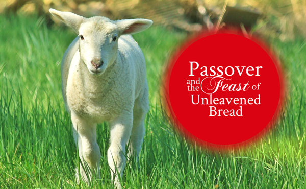 Not Just for Jews: Passover and the Feast of Unleavened Bread