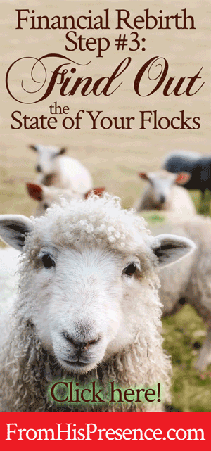Financial Rebirth Step 3 Find Out the State of Your Flocks