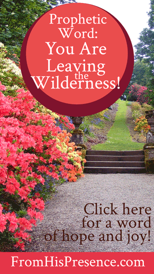 Prophetic Word: You Are Leaving the Wilderness