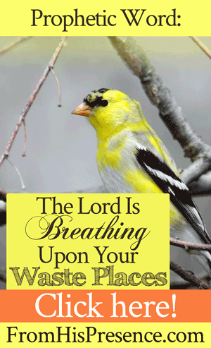 Prophetic Word The Lord Is Breathing Upon Your Waste Places | by Jamie Rohrbaugh | FromHisPresence.com