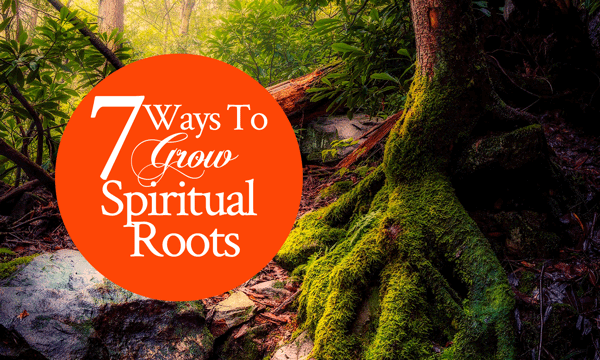 7 Ways To Grow Spiritual Roots