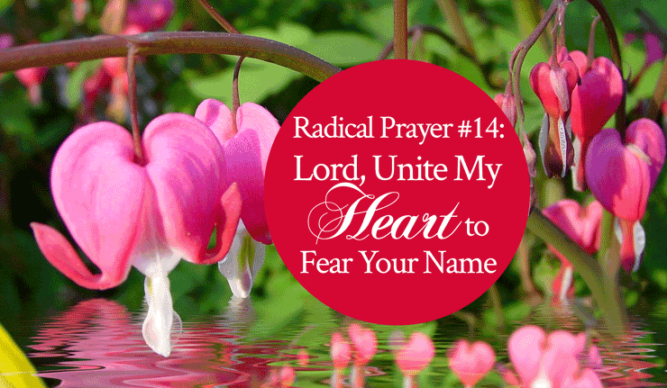Radical Prayer #14: Lord, Unite My Heart to Fear Your Name!