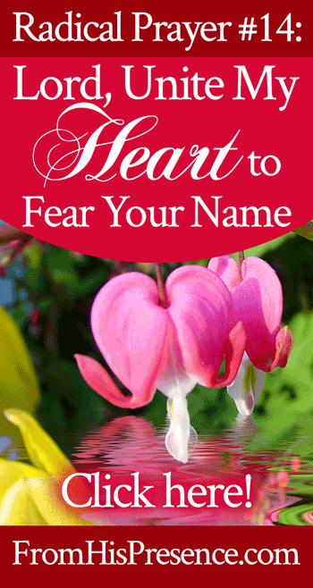 Radical Prayer #14: Lord, Unite My Heart to Fear Your Name | by Jamie Rohrbaugh | FromHisPresence.com