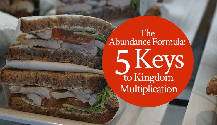 The Abundance Formula: 5 Keys to Kingdom Multiplication