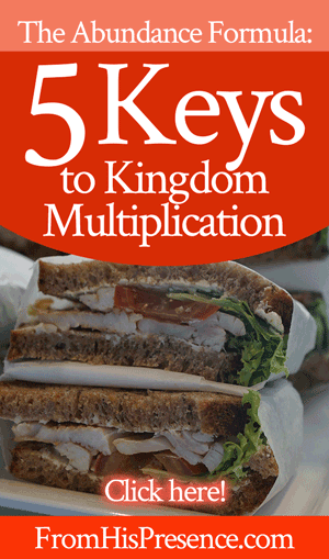 The Abundance Formula: 5 Keys to Kingdom Multiplication | by Jamie Rohrbaugh | FromHisPresence.com