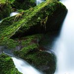 Prophetic Word: June Is a Month of Healing