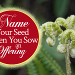 Name Your Seed When You Sow An Offering
