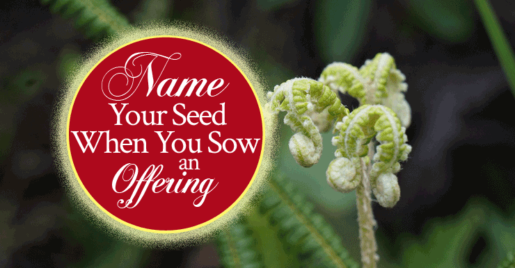 Name Your Seed When You Sow An Offering
