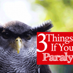 3 Things to Do If You Feel Paralyzed