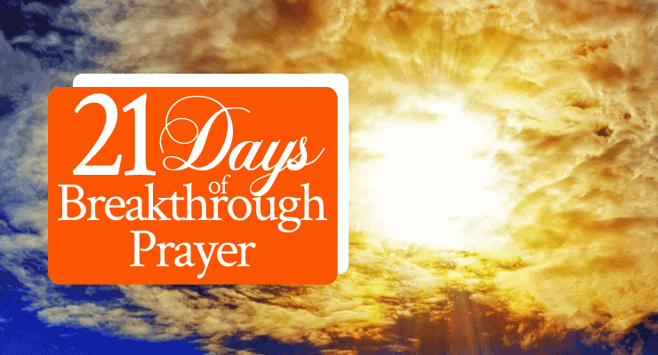 Day 13: Arise and Shine!