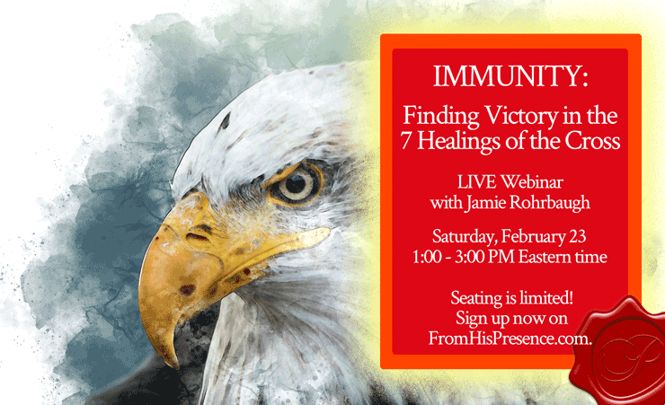 IMMUNITY: Finding Victory In the 7 Healings of the Cross