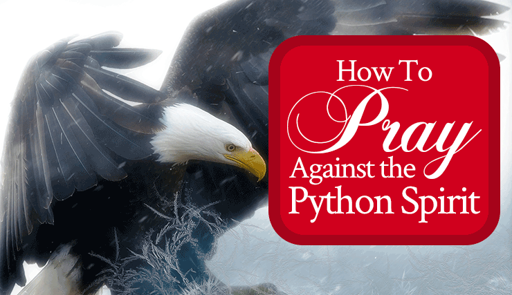 How To Pray Against the Python Spirit