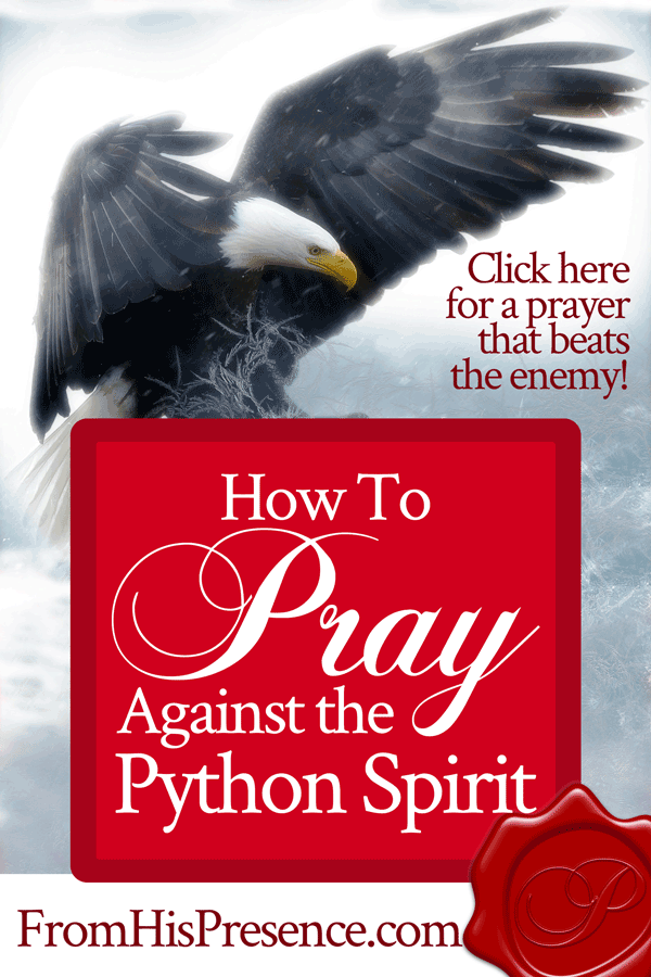 How To Pray Against the Python Spirit | sample prayer by Jamie Rohrbaugh | FromHisPresence.com