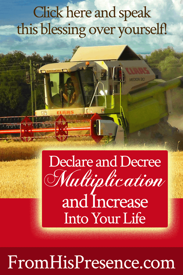 Declare and Decree Multiplication and Increase Into Your Life | by Jamie Rohrbaugh | FromHisPresence.com