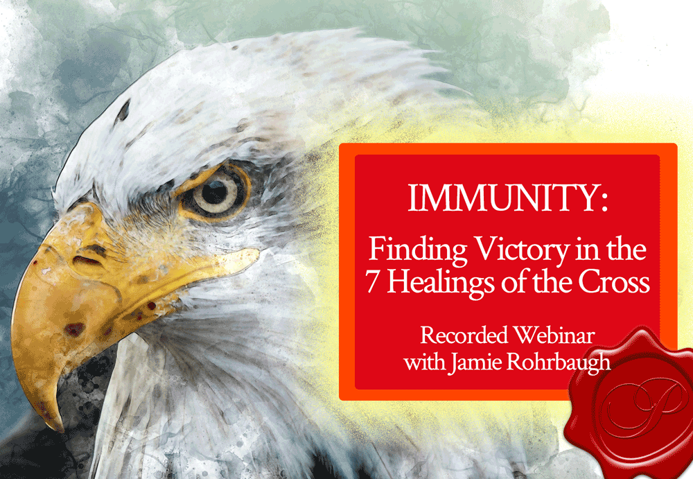 IMMUNITY: Finding Victory In the 7 Healings of the Cross | recorded webinar by Jamie Rohrbaugh