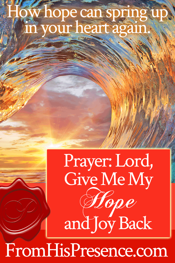 Prayer: Lord, Give Me My Hope and Joy Back | by Jamie Rohrbaugh | FromHisPresence.com