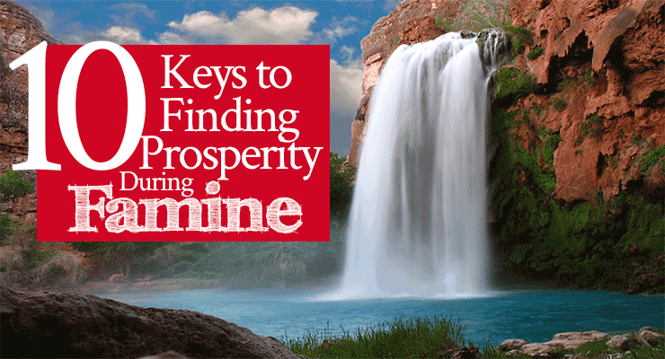 10 Keys to Finding Prosperity During Famine