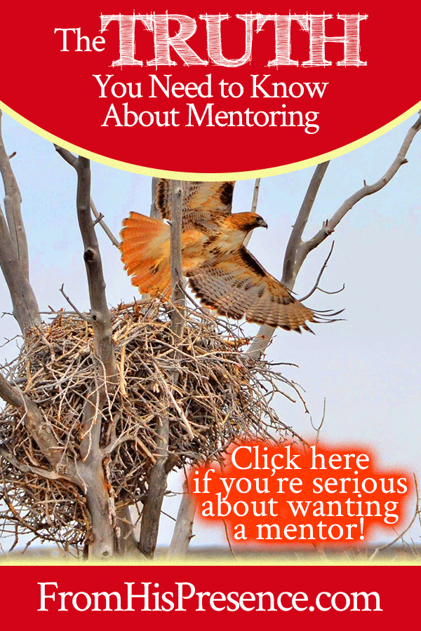 The Truth You Need to Know About Mentoring | FromHisPresence.com | by Jamie Rohrbaugh