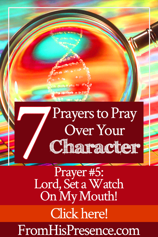 7 Prayers to Pray Over Your Character | by Jamie Rohrbaugh | FromHisPresence.com