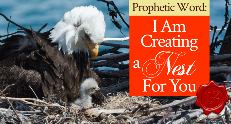 Prophetic Word: I Am Creating a Nest for You