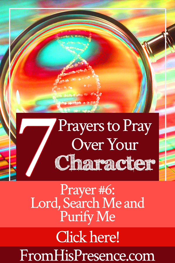 7 Prayers to Pray Over Your Character | Prayer 6 | Lord, Search Me and Purify Me | by Jamie Rohrbaugh | FromHisPresence.com