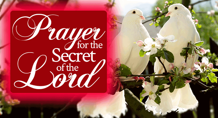 Radical Prayer #20: Prayer for the Secret of the Lord