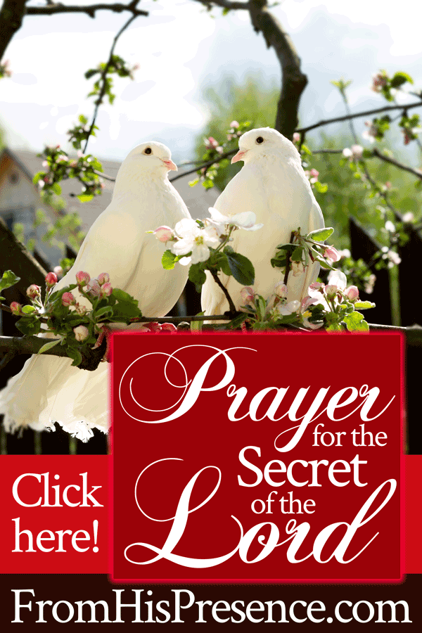 Prayer for the Secret of the Lord | by Jamie Rohrbaugh | FromHisPresence.com