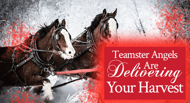 Teamster Angels Are Delivering Your Harvest