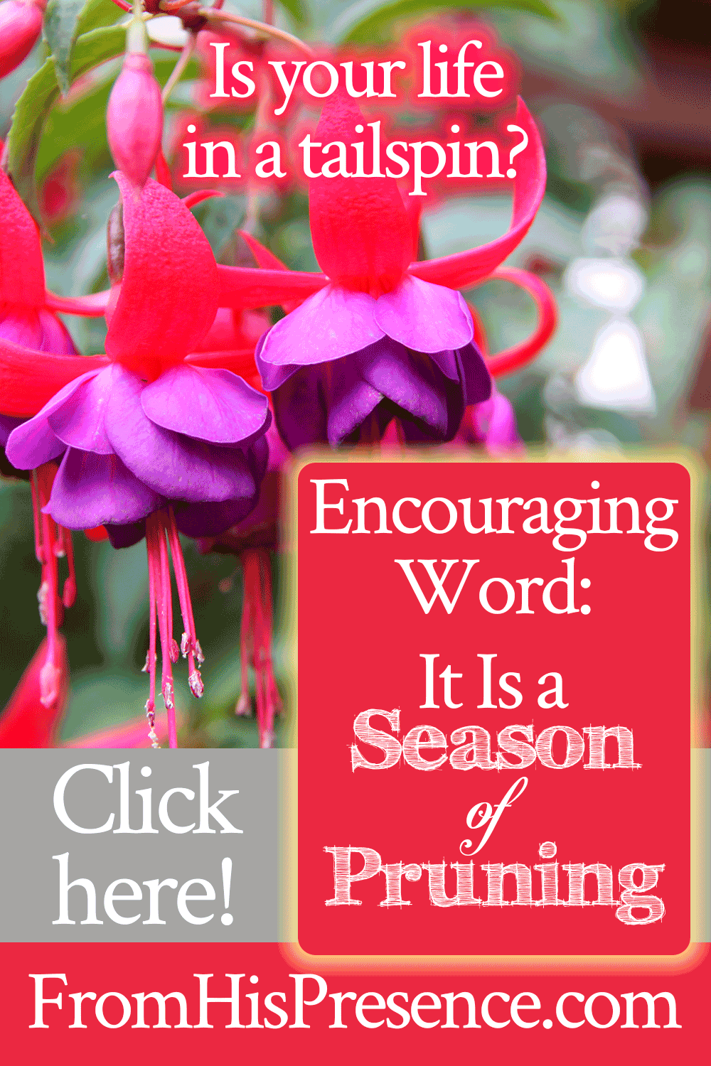 It Is a Season of Pruning | Encouraging word by Jamie Rohrbaugh | FromHisPresence.com