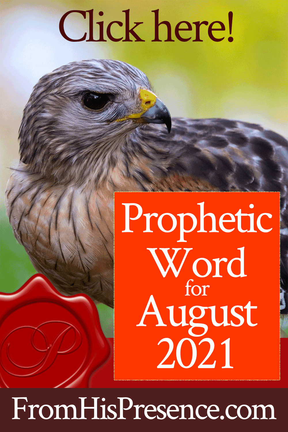 Prophetic Word for August 2021 | by Jamie Rohrbaugh | FromHisPresence.com