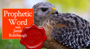 Prophetic Word with Jamie Rohrbaugh | FromHisPresence.com