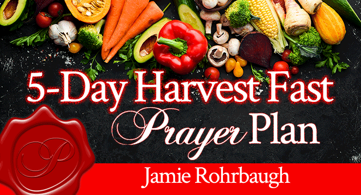 5-Day Harvest Fast Prayer Plan by Jamie Rohrbaugh | Free Bible Plan on YouVersion | FromHisPresence.com