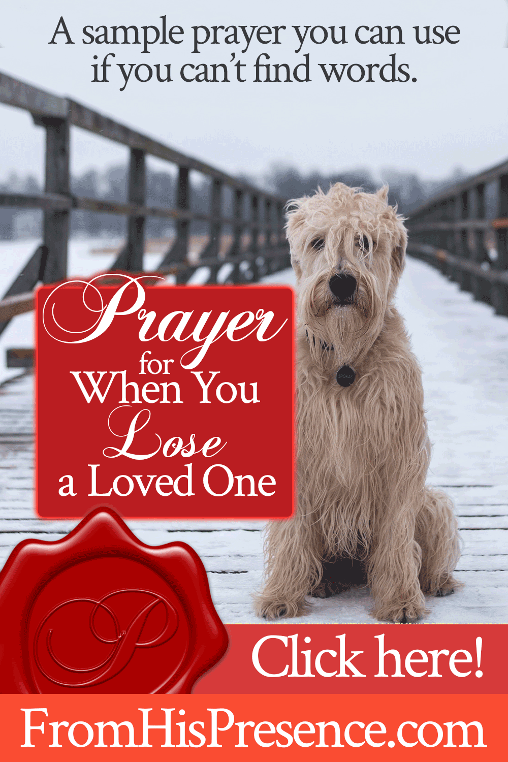 Prayer for When You Lose a Loved One | by Jamie Rohrbaugh | FromHisPresence.com