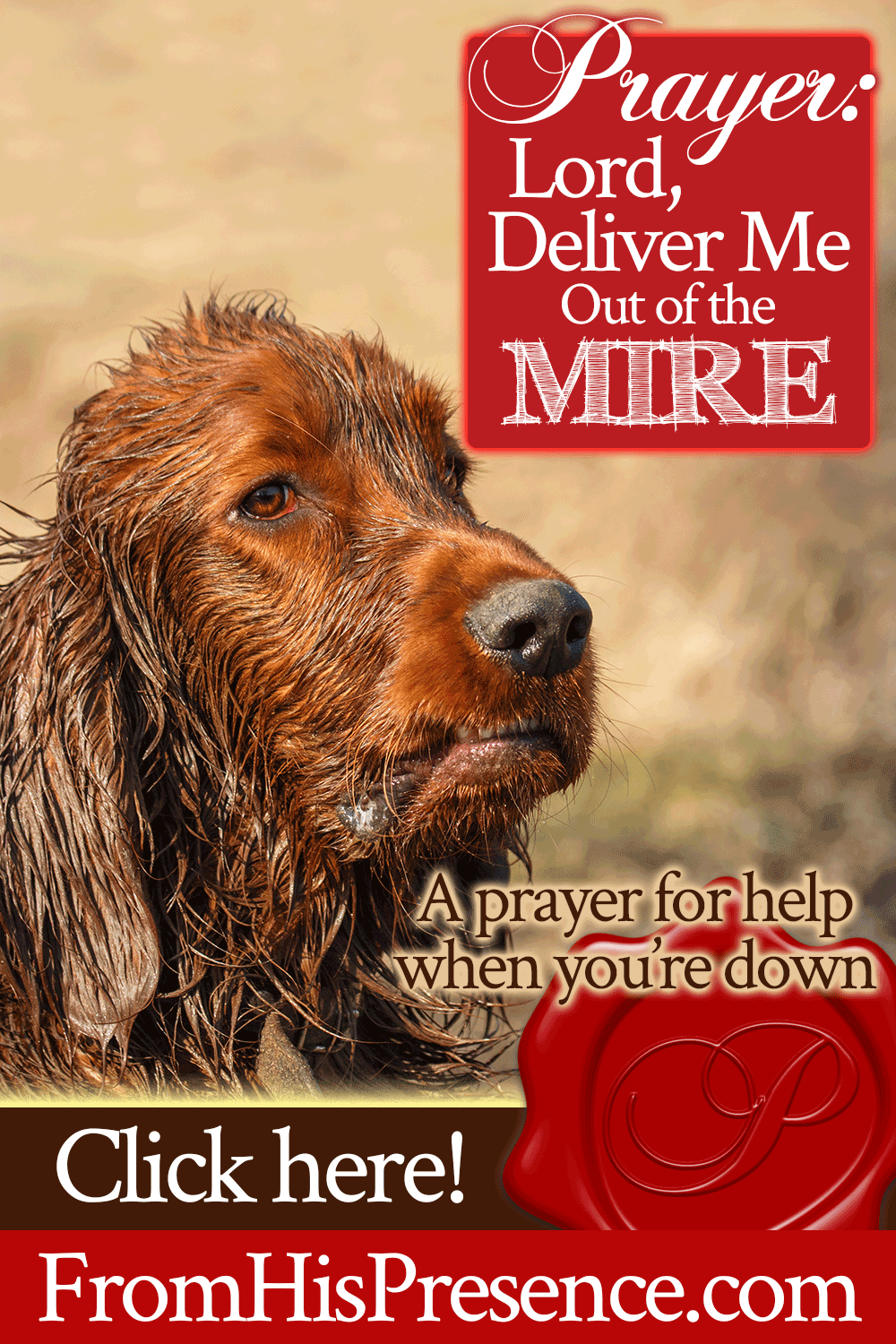 Prayer: Lord, Deliver Me Out of the Mire | by Jamie Rohrbaugh | FromHisPresence.com
