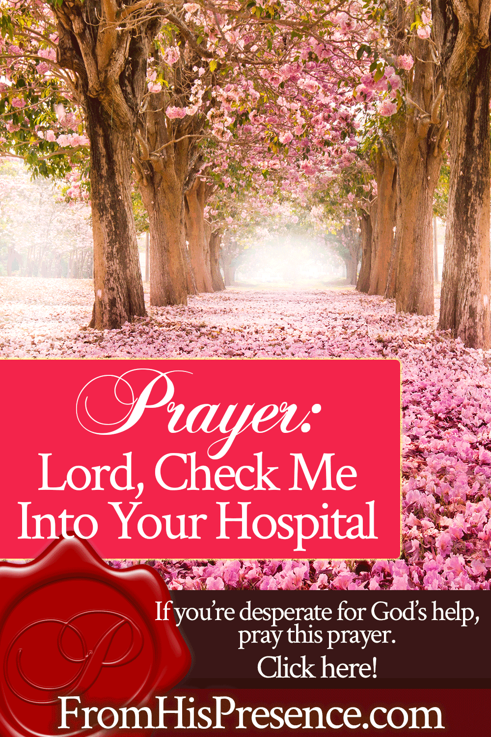 Prayer: Lord, Check Me Into Your Hospital | by Jamie Rohrbaugh | FromHisPresence.com
