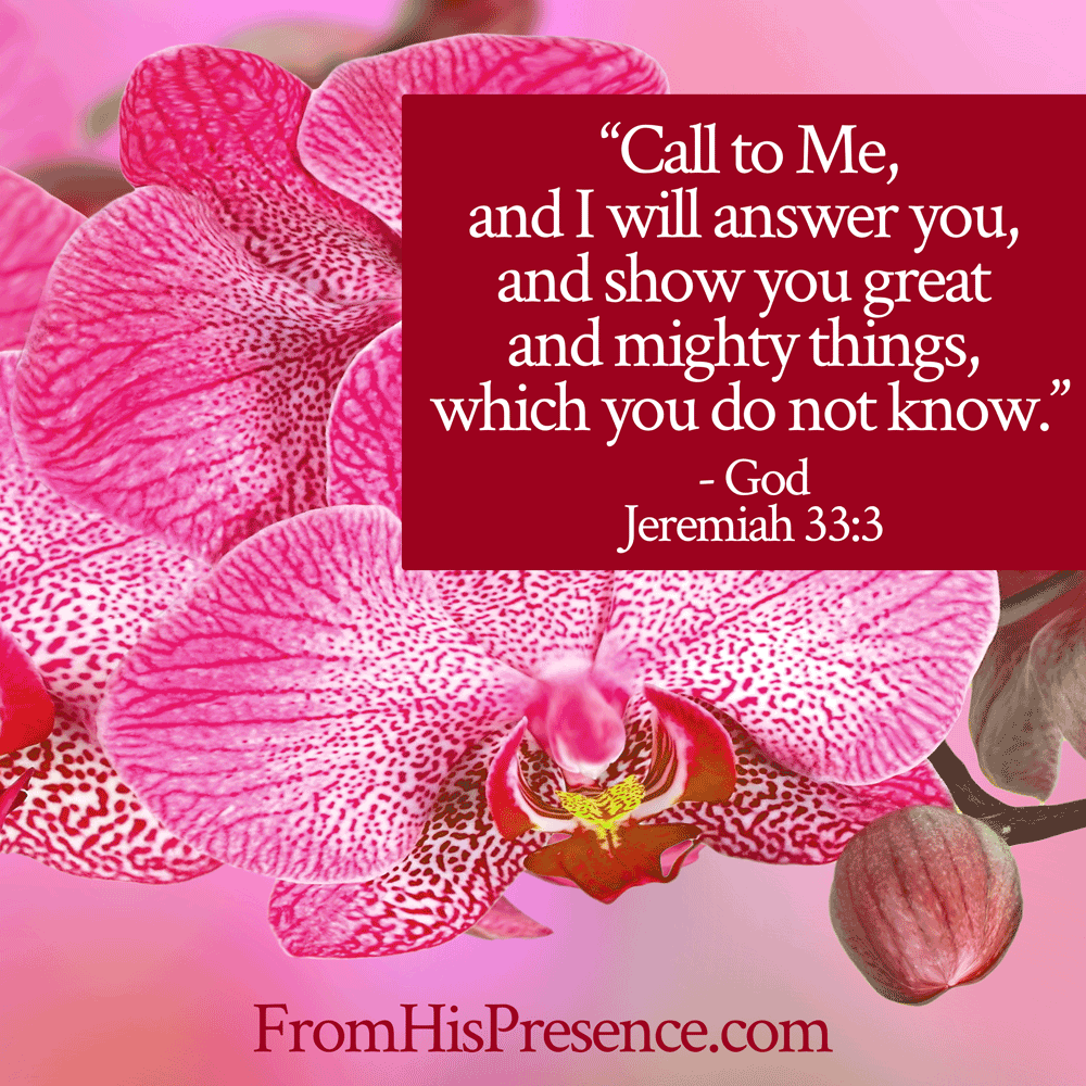 "Call to Me, and I will answer you, and show you great and mighty things which you do not know." Jeremiah 33:3 NKJV | Prayer for Miracles | Miracle Prayer by Jamie Rohrbaugh | FromHisPresence.com