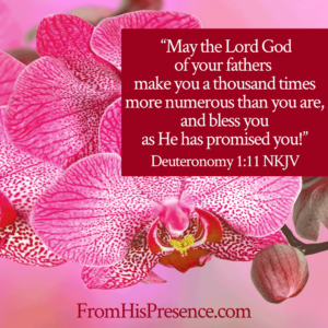 "May the Lord God of your fathers make you a thousand times more numerous than you are, and bless you as He has promised you!" Deuteronomy 1:11 NKJV | Prayer for Miracles | Miracle Prayer by Jamie Rohrbaugh | FromHisPresence.com