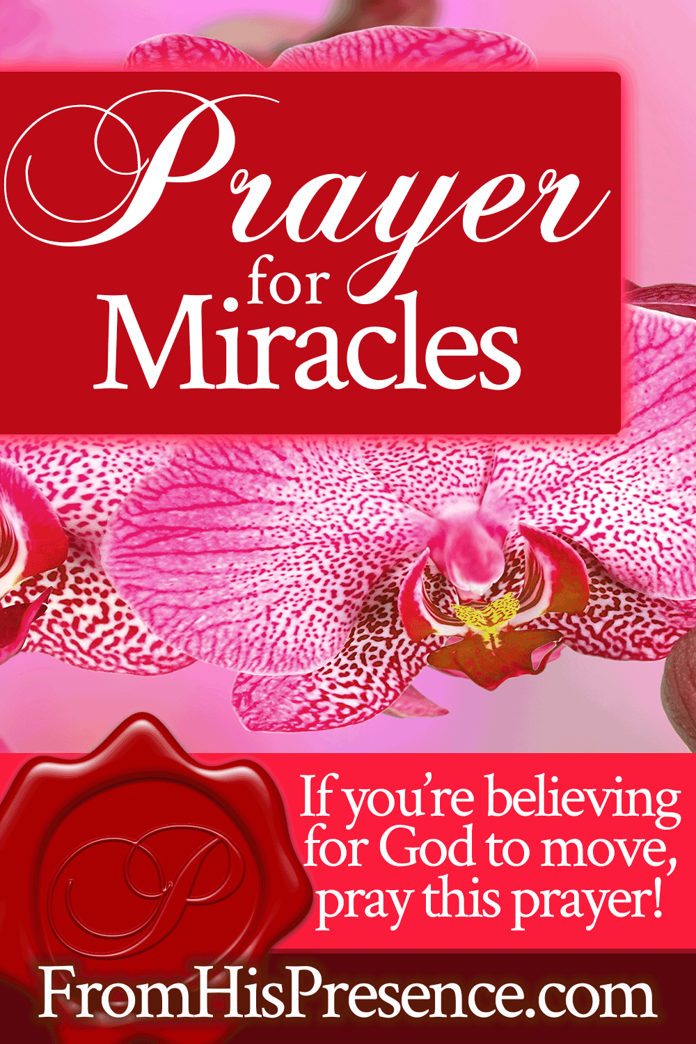 Prayer for Miracles | Miracle Prayer by Jamie Rohrbaugh | FromHisPresence.com