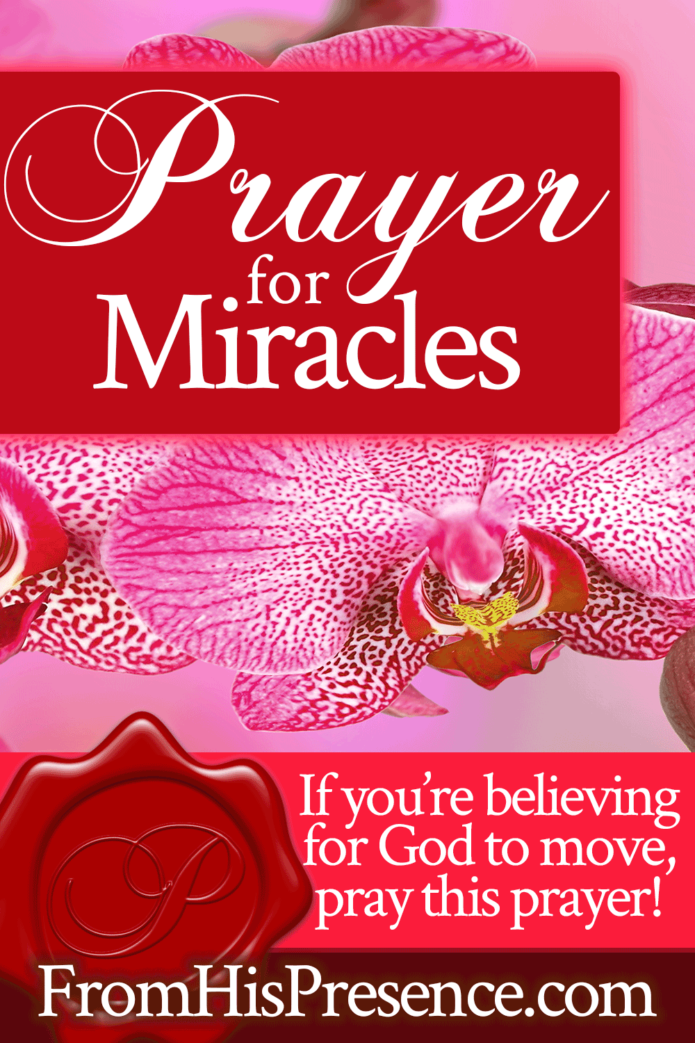 Thy Words - God Makes No Mistakes My life I give to you oh Lord use me I pray May I glorify Your precious name in all I do and say Let