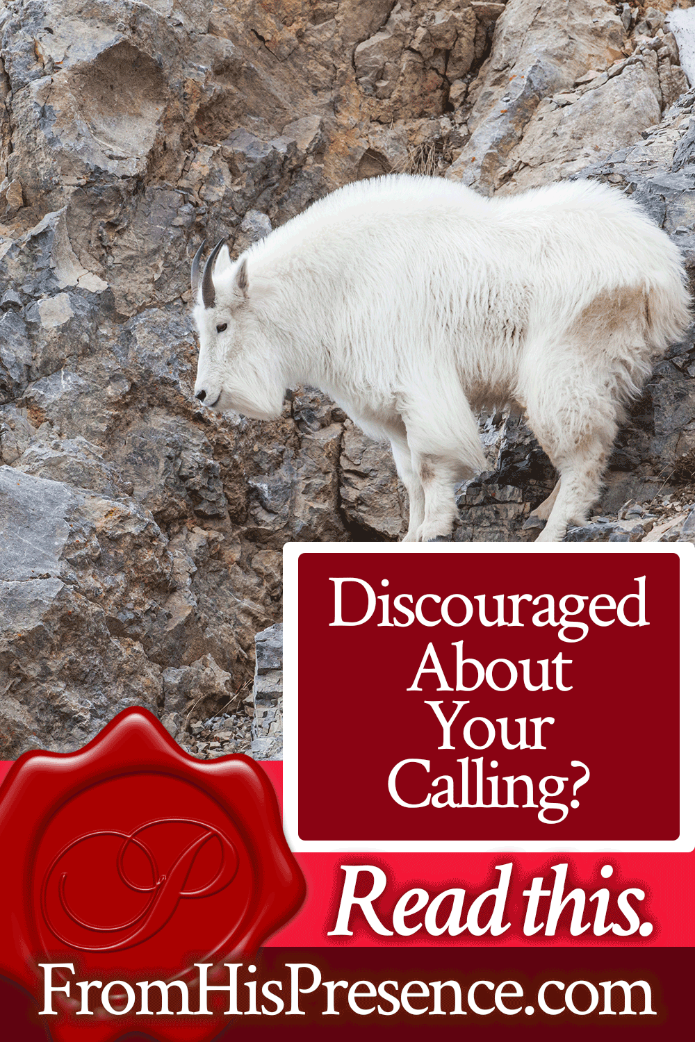 Discouraged About Your Calling? Read This. | Encouraging Word by Jamie Rohrbaugh | FromHisPresence.com