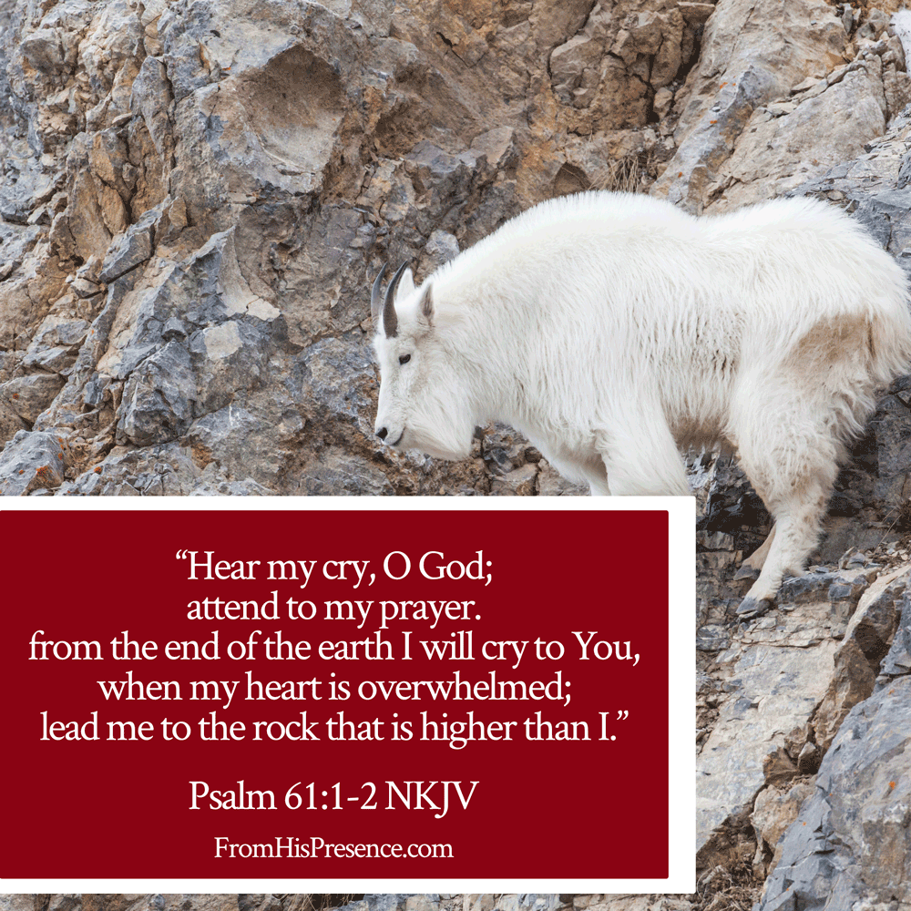 "Hear my cry, O God; Attend to my prayer. 2 From the end of the earth I will cry to You, When my heart is overwhelmed; Lead me to the rock that is higher than I." Psalm 61:1-2. 