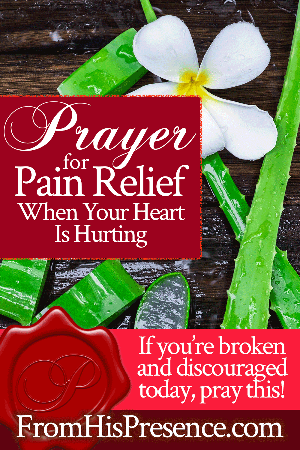 Prayer for Pain Relief When Your Heart Is Hurting | Prayer by Jamie Rohrbaugh | FromHisPresence.com